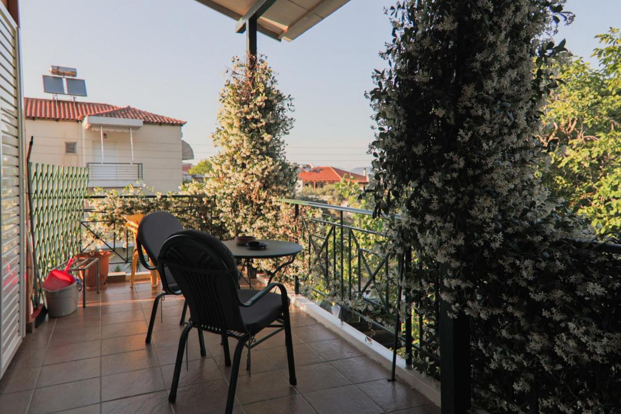 Tsertos Apartments 카메나불라 외부 사진